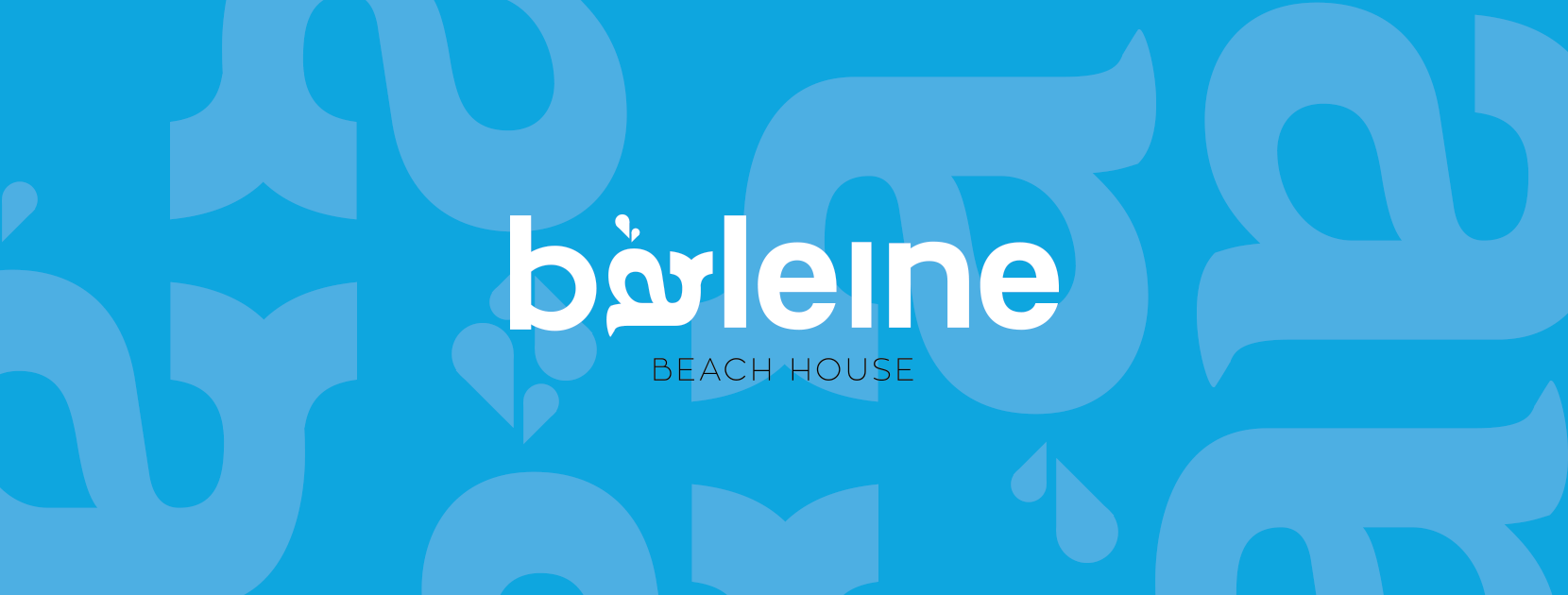 https://el-gr.facebook.com/BaleineBeach